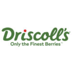 Driscoll's-New-Plastics-Economy